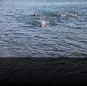 Comen Cup 2009 026